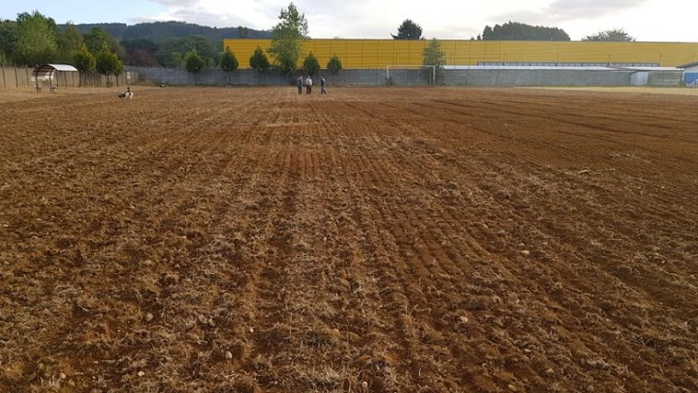 Inician trabajos de mejoramiento y empasatado de cancha de estadio del Club Deportes O’higgins