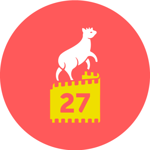 Festival de Cine de Valdivia baraja opciones para no suspender versión 2020