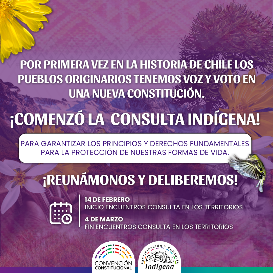 Consulta Indígena de la Convención Constitucional
