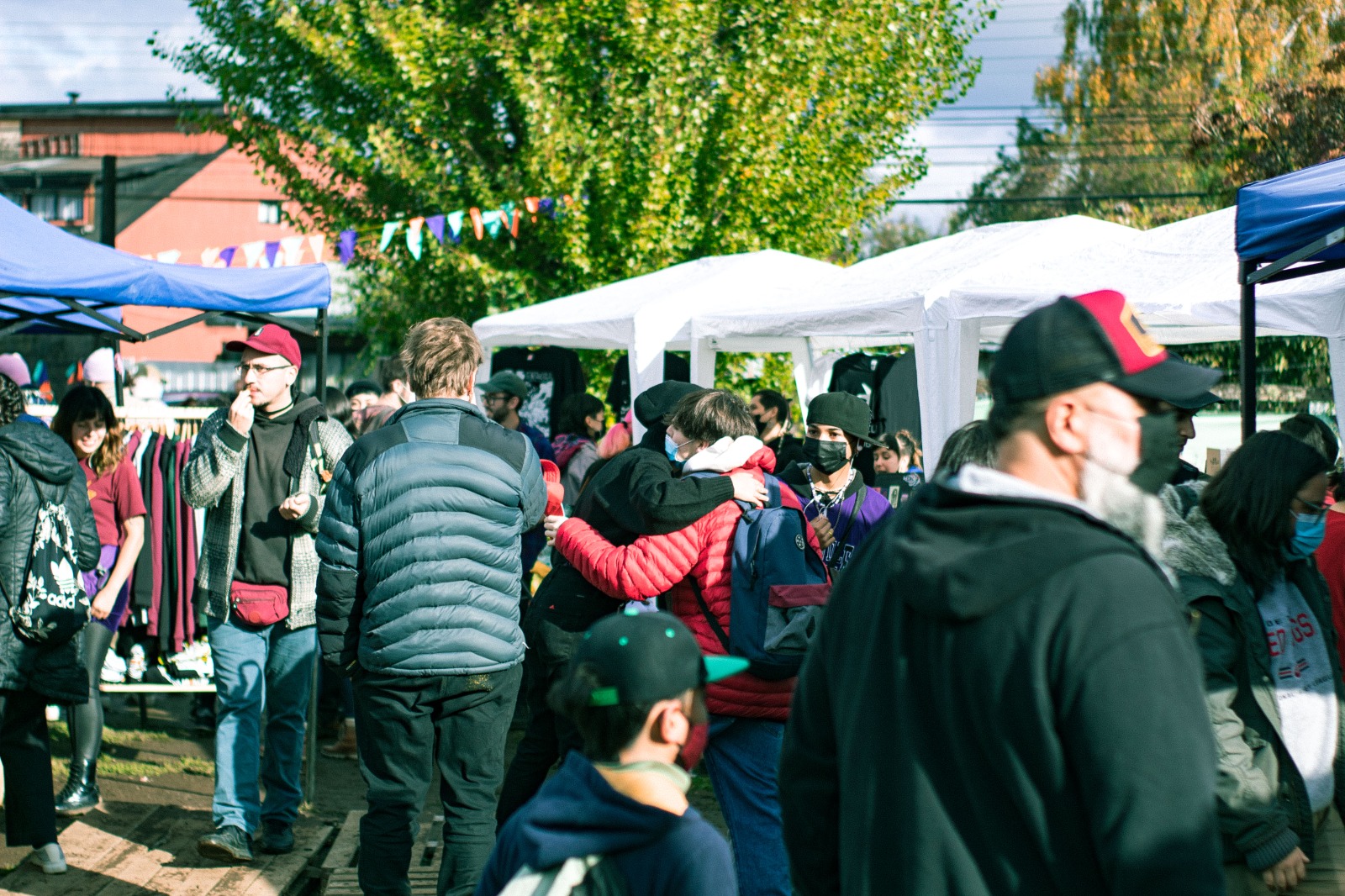 Festival “La Mansa Feria” promueve las artes y diseño gráfico en Valdivia