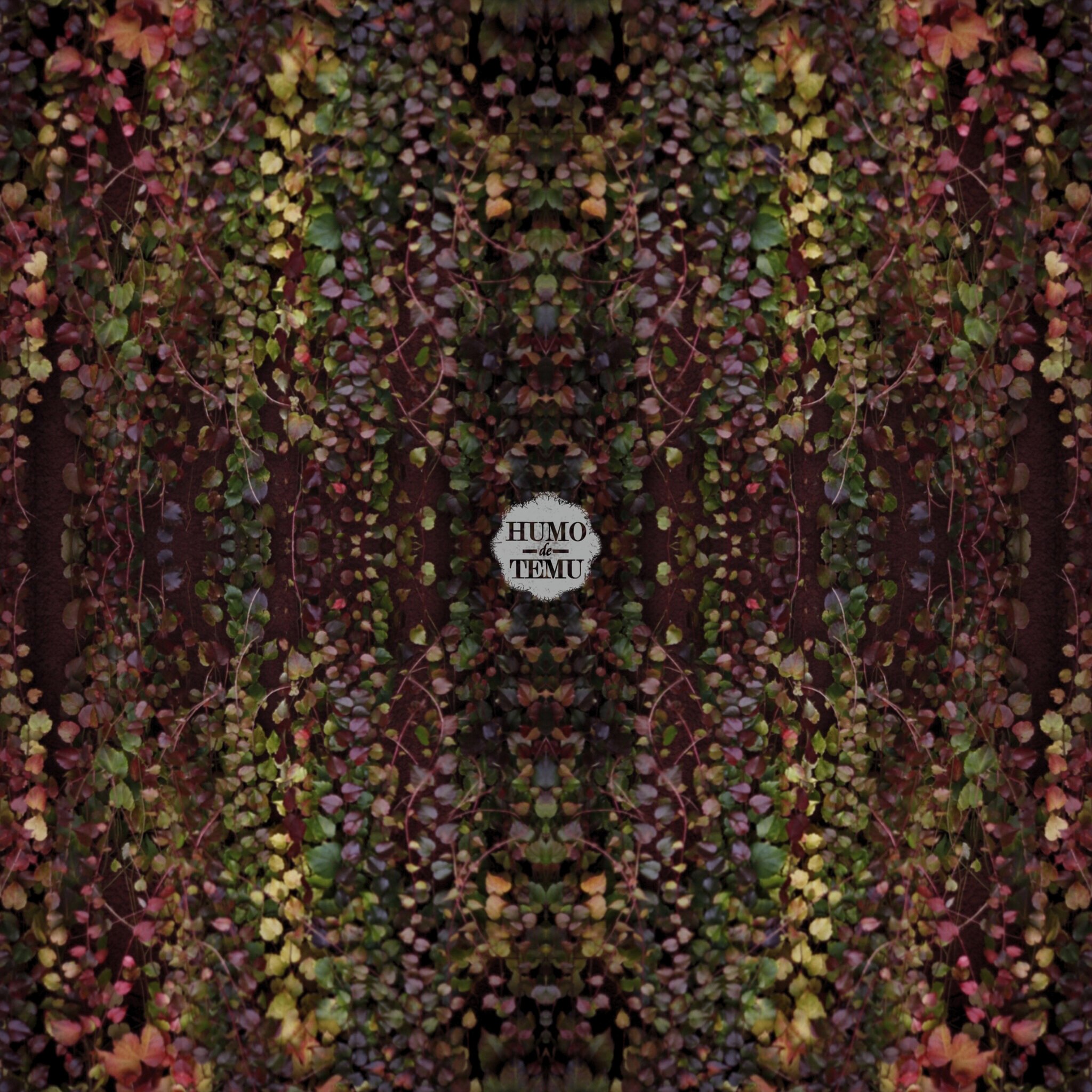 AGRUPACIÓN CULTURAL HUMO DE TEMU CELEBRA NUEVE AÑOS CON SHOWS MUSICALES YFERIA CREATIVA EN LA UCT