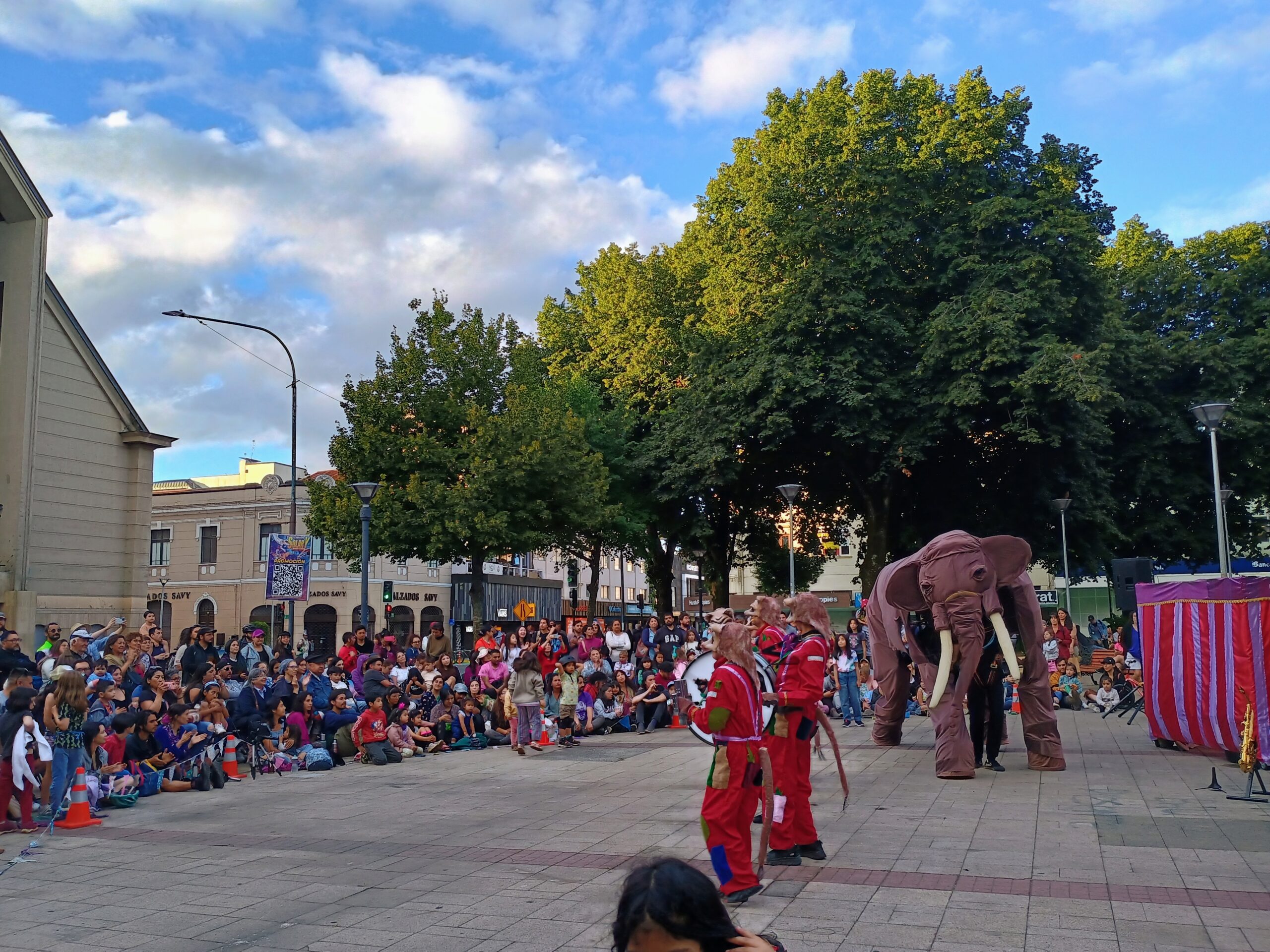 El gran estreno de La Murga Koli Koli de la Cía. De teatro de títeres y marionetas Abuela Poroto, proyecto CONARTE 2023 de la CCM de Valdivia.