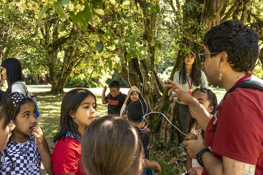 Niñas, niños y jóvenes experimentan con arte y ciencia en Cecrea Valdivia