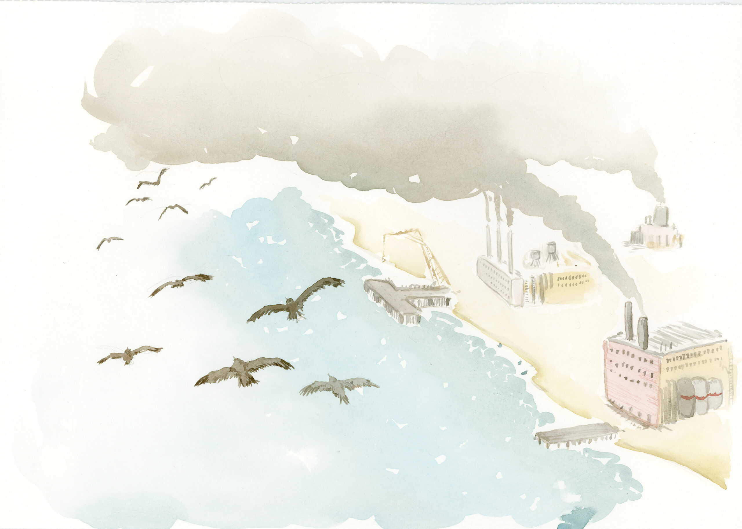 PLUMA DORADA: LECTURA TEATRALIZADA SOBRE LA AVENTURA MIGRATORIA DELOS ZARAPITOS SE PRESENTARÁ EN EL MUSEO CASTILLO DENIEBLA PARA TODA LA FAMILIA