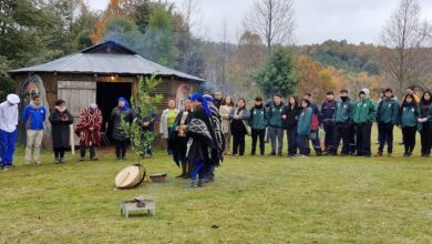 Con minga de plantación de murta Aldea Intercultural Lawan inició sus actividades como Punto de Cultura Comunitaria