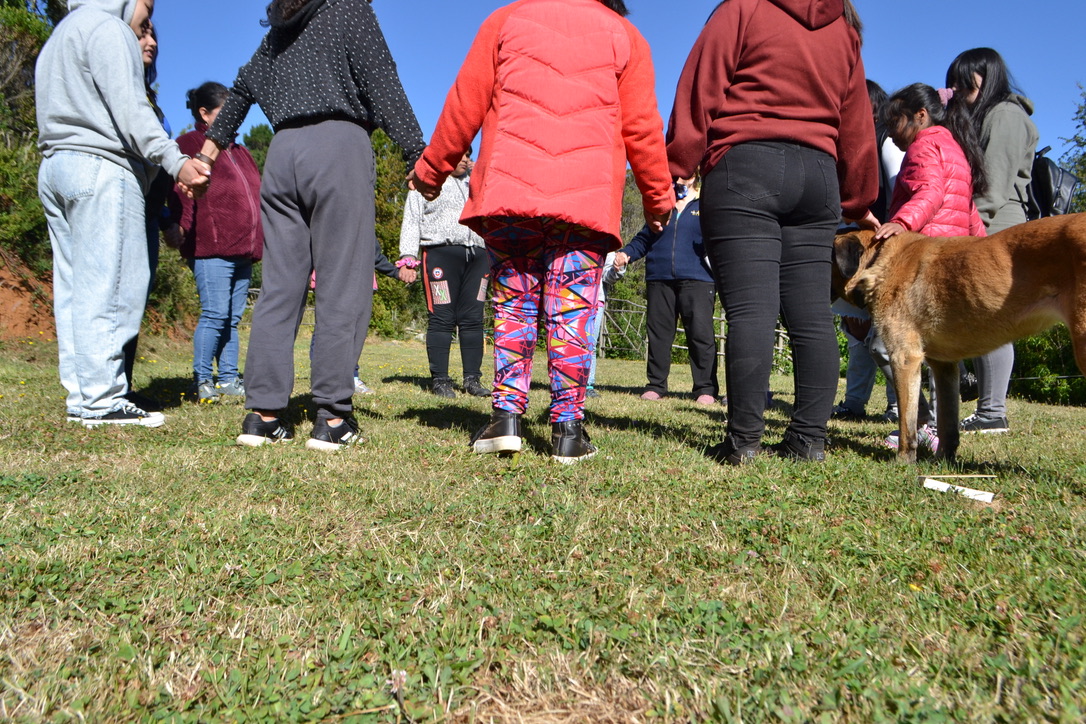 Invitan a exhibición gratuita de corto documental “El lugar de los refugios”