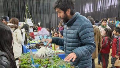  “PRIMERA FERIA DE EDUCACIÓN AMBIENTAL BIO CULTURAL SE REALIZÓ EN PANGUIPULLI”.