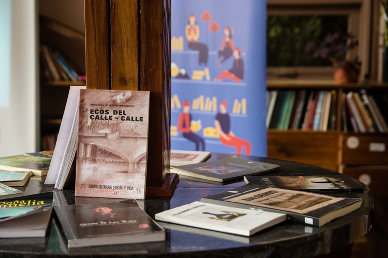 Yoteloleo.cl: la plataforma inclusiva que difunde la literatura de Los Ríos suma nuevas acciones