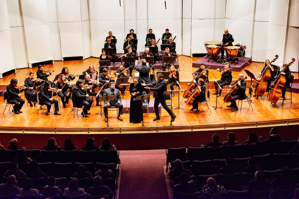 Orquesta de Cámara de Chile regresa a Los Ríos con gira por cuatro comunas