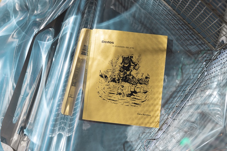 Encuentro de mujeres escritoras: Editoriales de Valdivia y Temuco presentan junto a autoras sus últimas publicaciones en espacio KOM