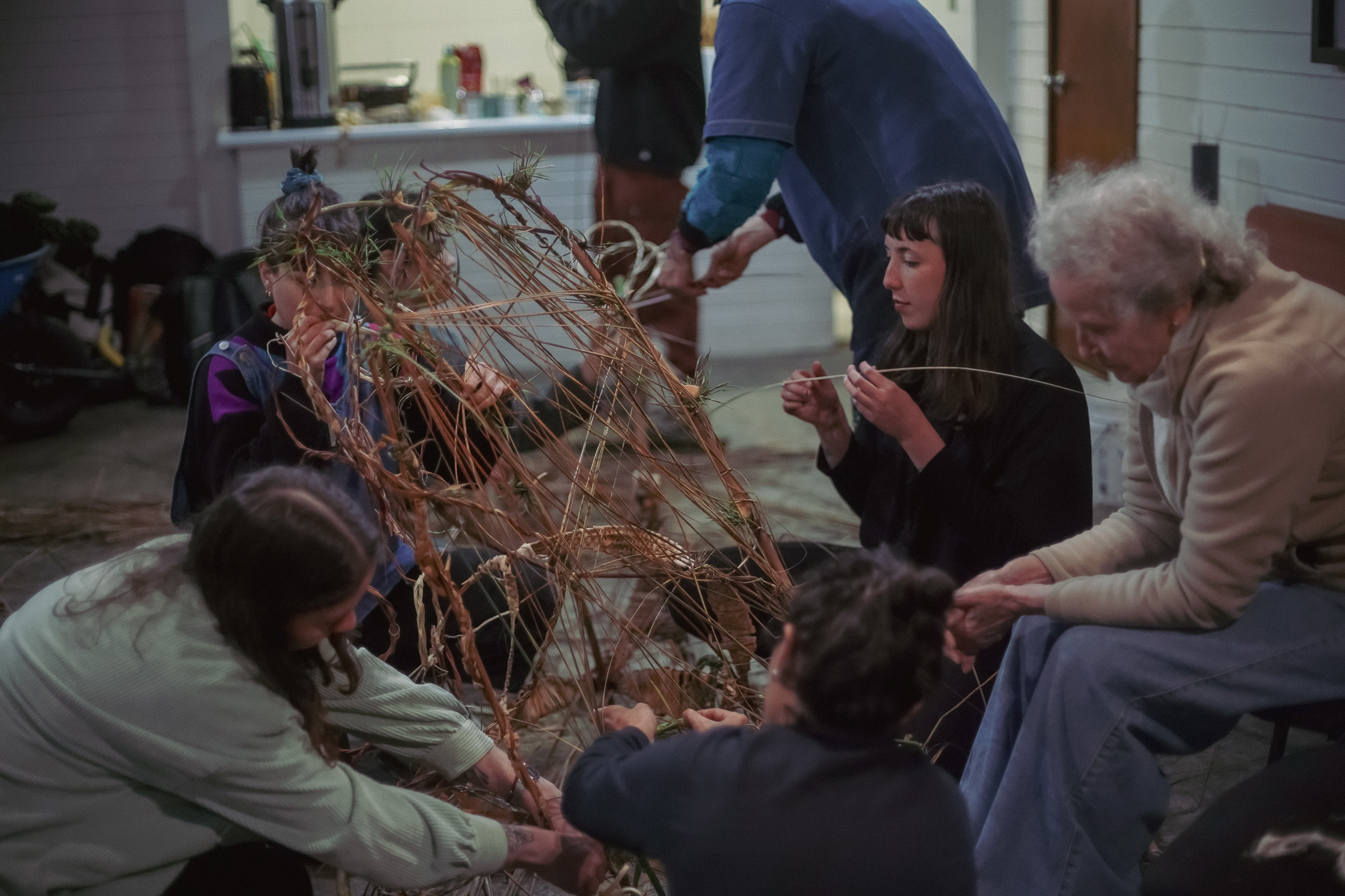 Corazón de pajarito, exposición inmersiva sobre ecología, aves yterritorio en Niebla