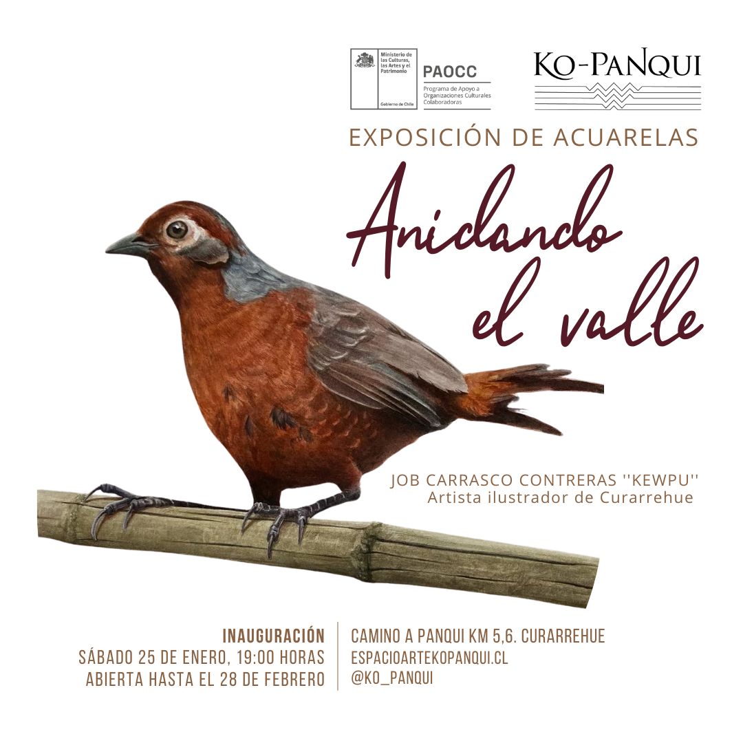 Ko-Panqui inaugura su primera exposición del año: una bella selección deacuarelas del artista curarrehuino Job Kewpu