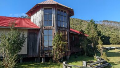 Chaihuin: implementan espacio para la lectura en plena selva valdiviana