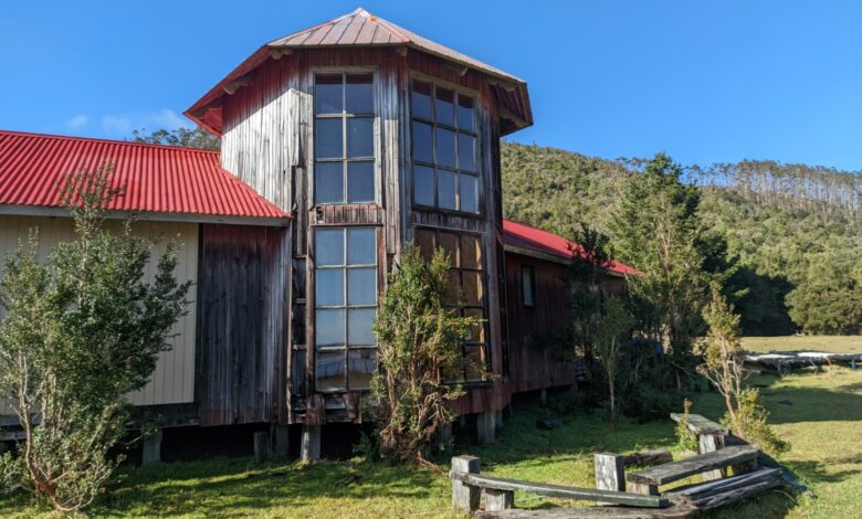 Chaihuin: implementan espacio para la lectura en plena selva valdiviana