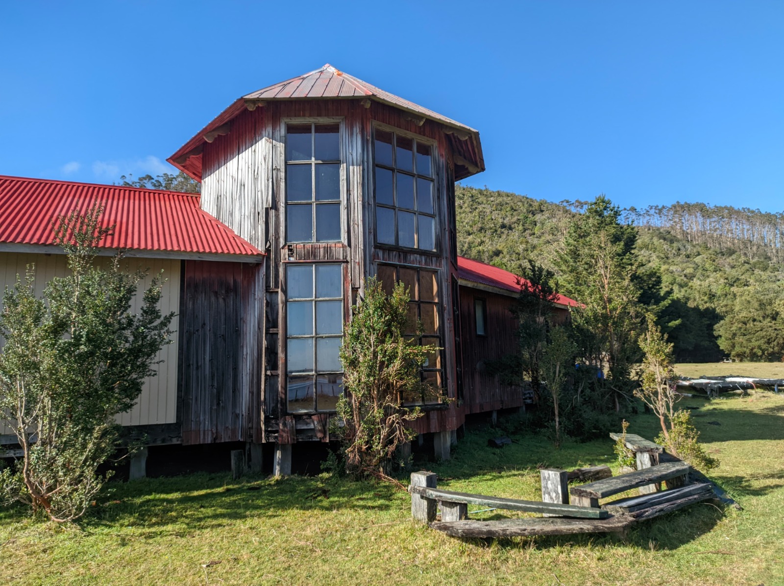 Chaihuin: implementan espacio para la lectura en plena selva valdiviana