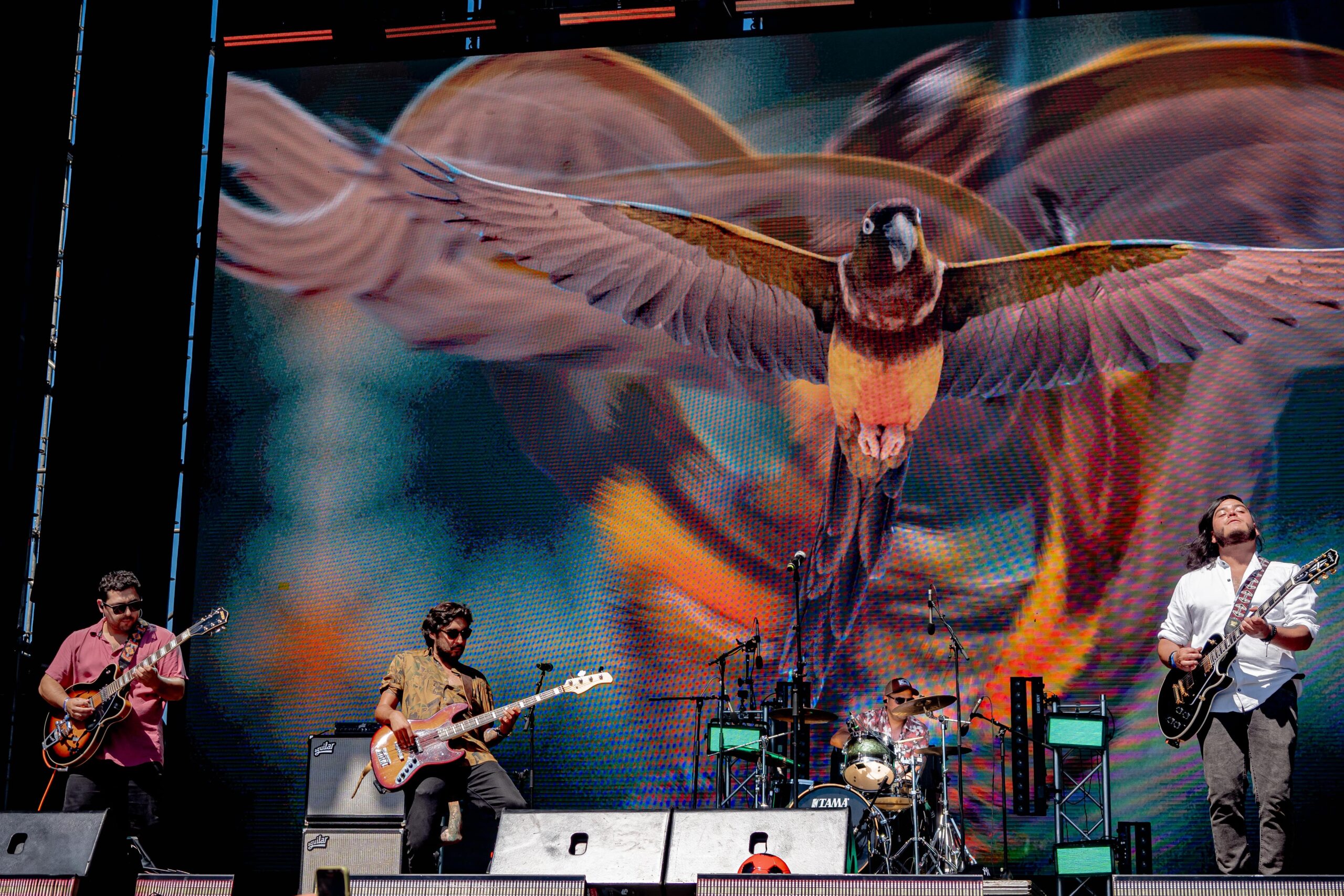 Pulso Gaiano estrena su álbum “Nuestro Nicho”, la naturaleza de la música penquista