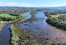 “Memorias Fluviales de Tralcao”