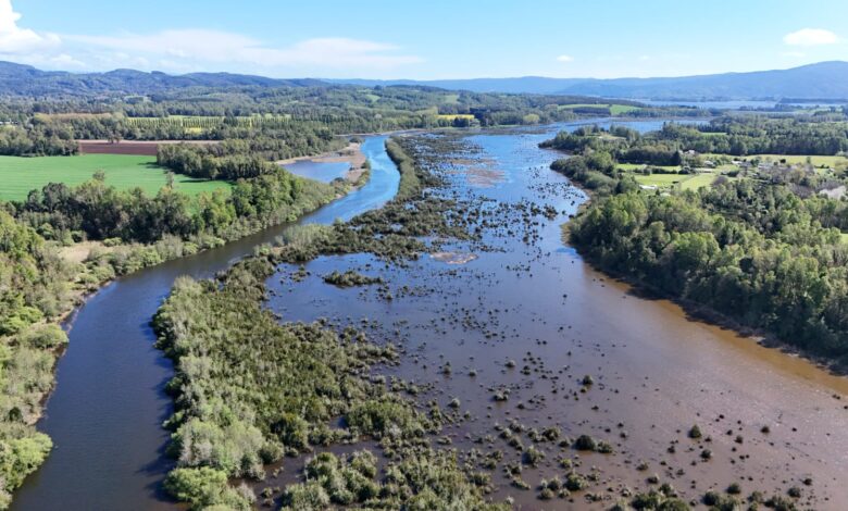 “Memorias Fluviales de Tralcao”